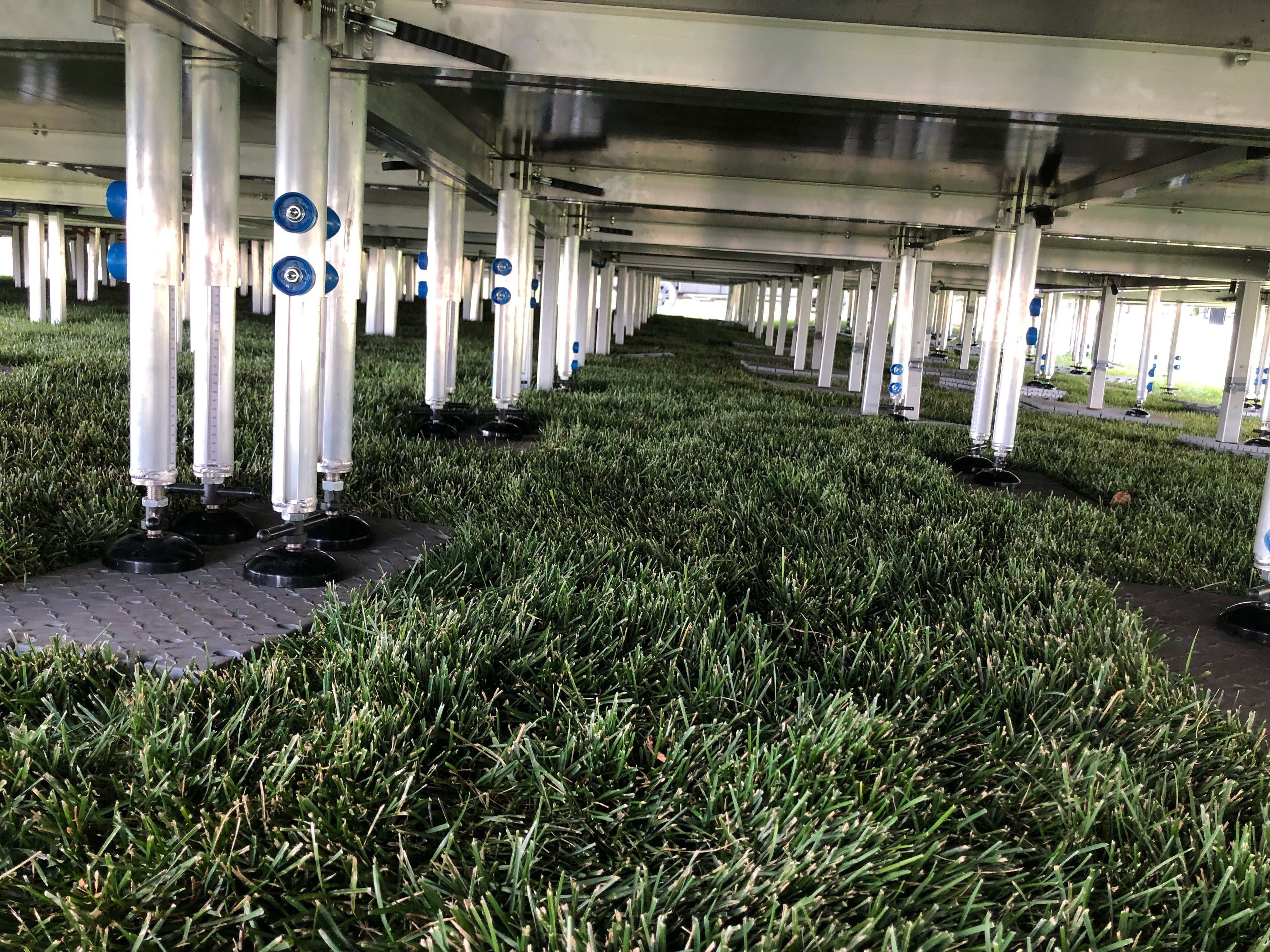 4' X 4' Stage Deck, Tuffstage