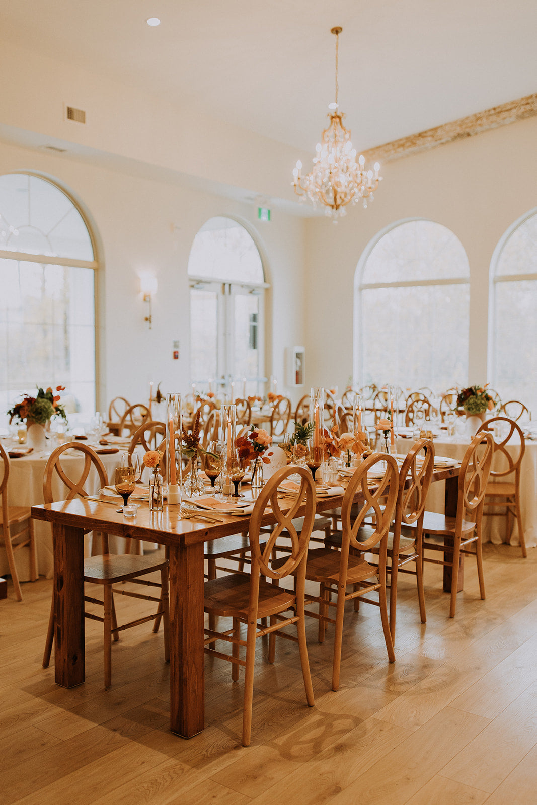 Chair, Infinity Fruitwood Assembled