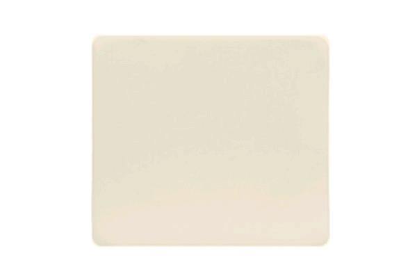 Ivory Pad For Resin Folding Chair - Special Event Sales