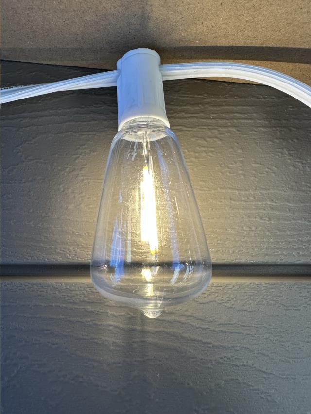 Bulb, Cafe 38mm 1W LED Clear Teardrop - Special Event Sales