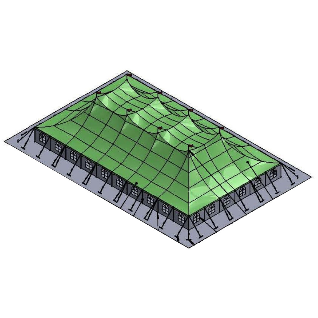 Pole Tent 60' x 100' White