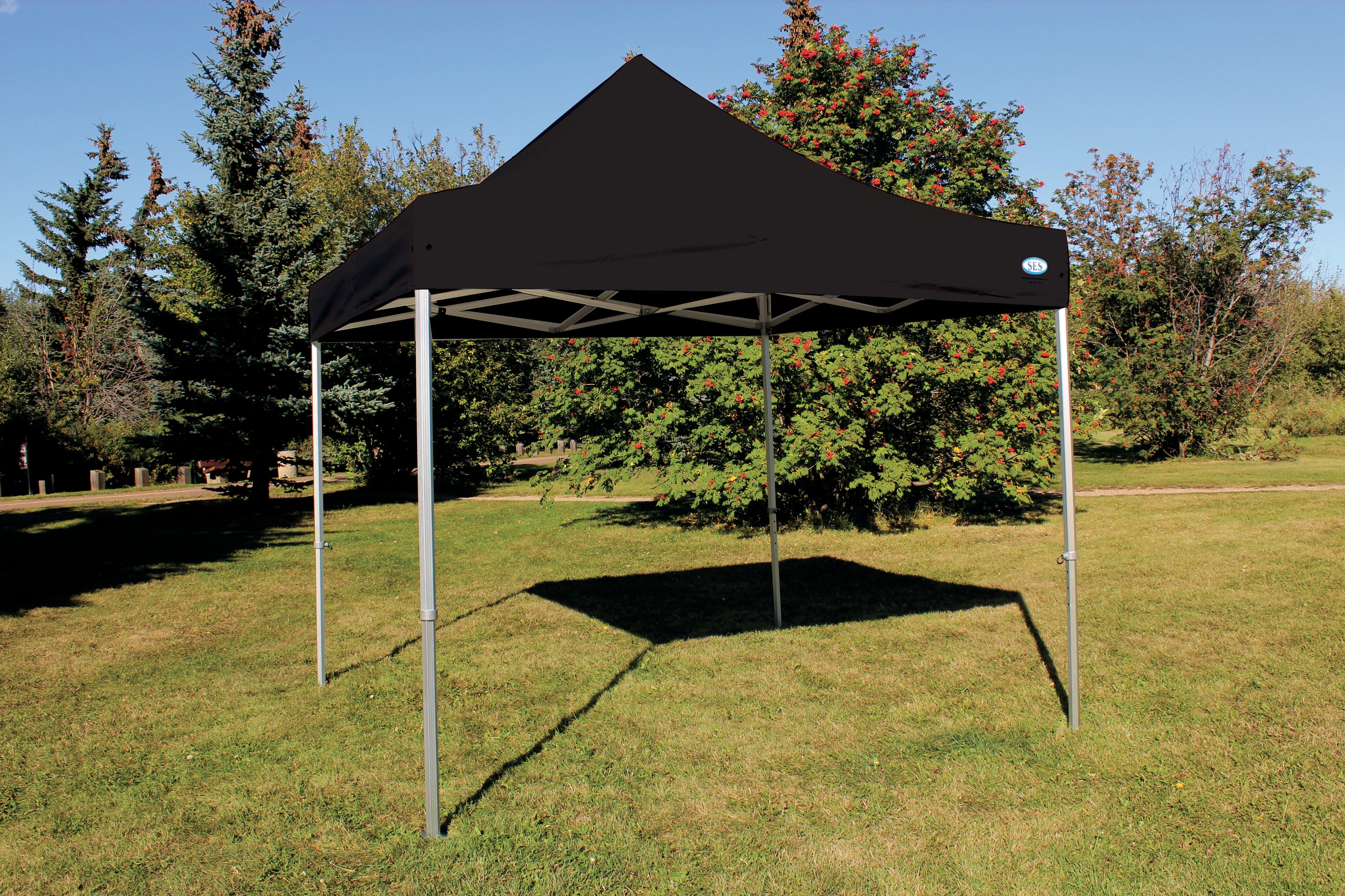 Pop up Top, 10' x 10' Black Hd