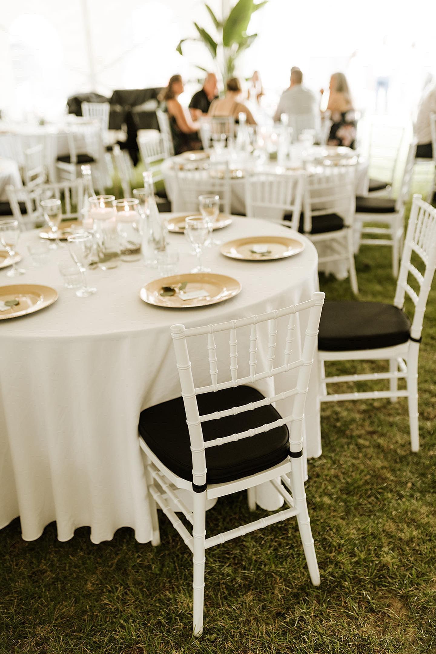 White wedding event dining chairs wholesale Canada