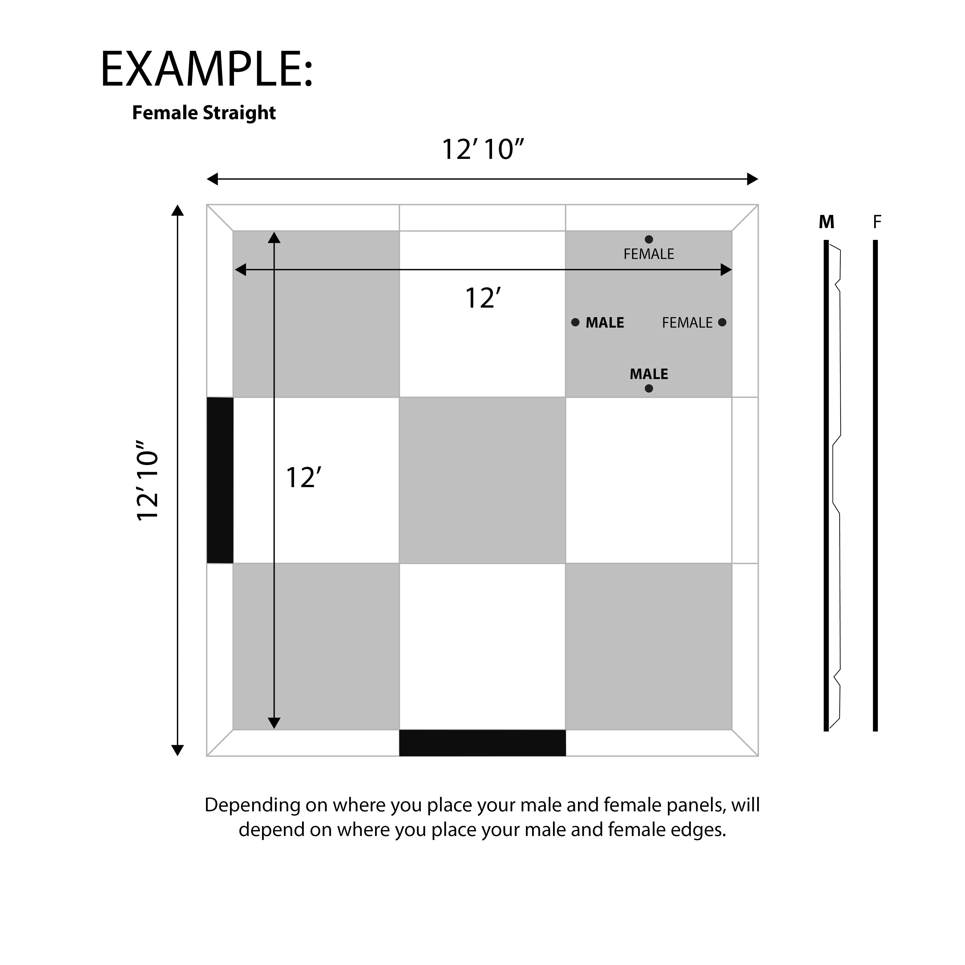 DancePro Edge 4’ Female Straight Silver DancePro