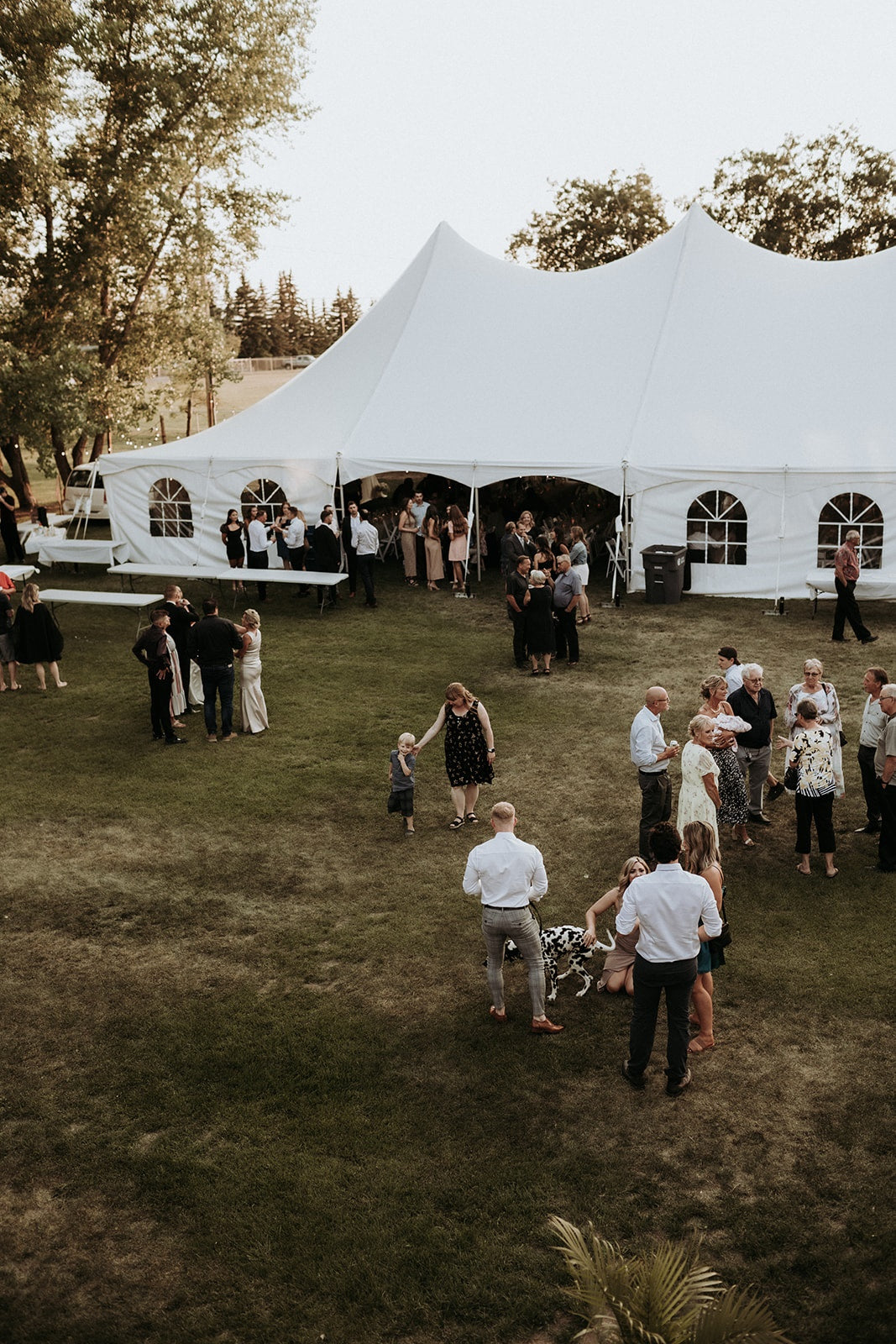 Pole tent clearance wedding