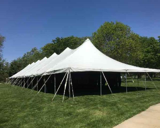 Pole Tent 30' x 120' White - Special Event Sales